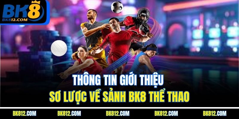 BK8 Thể Thao – Thiên Đường Giải Trí Hấp Dẫn Nhất 2025 4 Thông tin giới thiệu sơ lược về sảnh BK8 Thể Thao